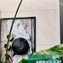 공차 부산동아대부민점 | 부산 서구 부민동 동아대 부민캠퍼스 카페 추천 ㅣ 공차 부산동아대부민점