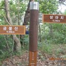 Re:2009.07.11.한강기맥 여섯번째 삼마치~신당고개(추가사진) 이미지