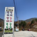 은주목장 이미지