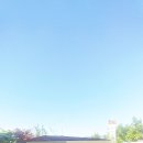 서울대영초등학교 티스토리