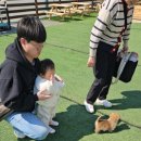 칠곡동물체험카페 이미지