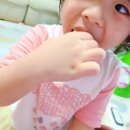 모물다
