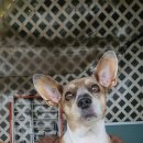 해변 하우스 | 강릉 금진해변에 위치한 해돋이 하우스 리얼 후기 [내돈내산]