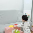 토닥토닥 그림책 하부르타 | 도레미곰 유아전집 후기 2살아이가 좋아하는 그레이트북스 영유아책