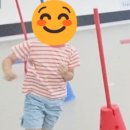 고려대단관태권도 이미지