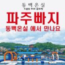 비(B)모텔 | 파주 운정 동백온실 실내 바베큐장감성 날씨 걱정 없는 이색 캠핑 식당 추천
