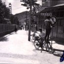 군청앞길 이미지