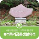 ②적목리 공동생활유적, 중세유럽 카타콤이 연상되는 공동체생활유적