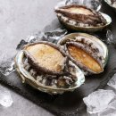 완도6호 이미지