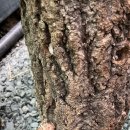 반석농장2 이미지