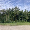 인더송당펜션 이미지