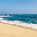 굿드림장애인작업장 이미지