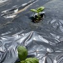 연곡농장 이미지