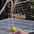 애니멀랜드 이미지