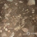 서귀동 천지연 생수궤 이미지