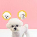 반하다몽몽 이미지