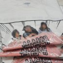 마플 | 마플 티셔츠 제작 후기 / 우정티, 커스텀 굿즈 만들기 추천
