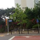 크린렌드 이미지