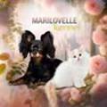 Marilovelle 네이버블로그