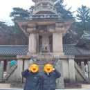 경주 그린비여행