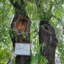 대형정비 이미지