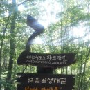 대구전자담배총판 이미지