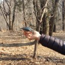 우남공인중개사 사무소 이미지