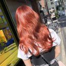 개나리미용실 - 창원시 마산회원구 석전서8길 14 | 개나리미용실
