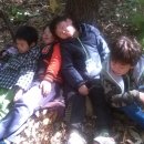 연광초등(병설) 이미지