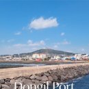 동일리-10 이미지