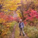 백천계곡 이미지