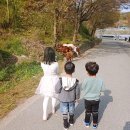 추부낚시