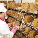 아낙네마을영농조합 이미지