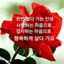 웃고 삽시다 / 피터펀 이미지