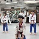 다운 태권도장 이미지