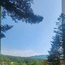 휘닉스 블루캐니언사우나 이미지