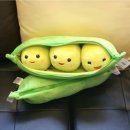 라이프 게스트하우스 이미지