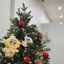 퍼스트룩 안경 | 상봉속눈썹연장 후기｜'B116뷰티라운지' 속눈썹연장 잘 하는 곳추천