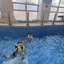 청도태권도장 이미지