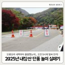 서원푸드 | [2025 내장산 단풍 실시간] 11월 8일 주차 대란 단풍놀이 실패 후기 (ft 피향정, 무성서원)