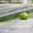 우정동물병원 이미지