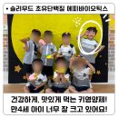 흡수빠른초유 5세 어린이 맛있는 키성장영양제 추천 / 슬리무드 초유단백질 에피바이오틱스