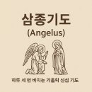 삼종기도를 공부합니다... 이미지