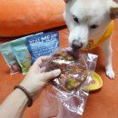 마이펫미트 이미지