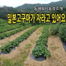 워니 농장 이미지