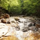 숲속계곡 이미지