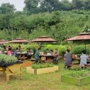 남양주보건소 치매안심센터 이미지