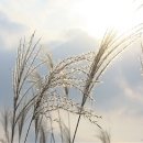 갈대한우촌 이미지