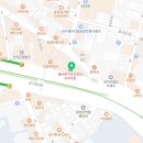 대구강아지분양 원펫 이미지