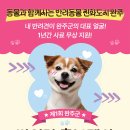 완주군 반려동물 놀이터 이미지